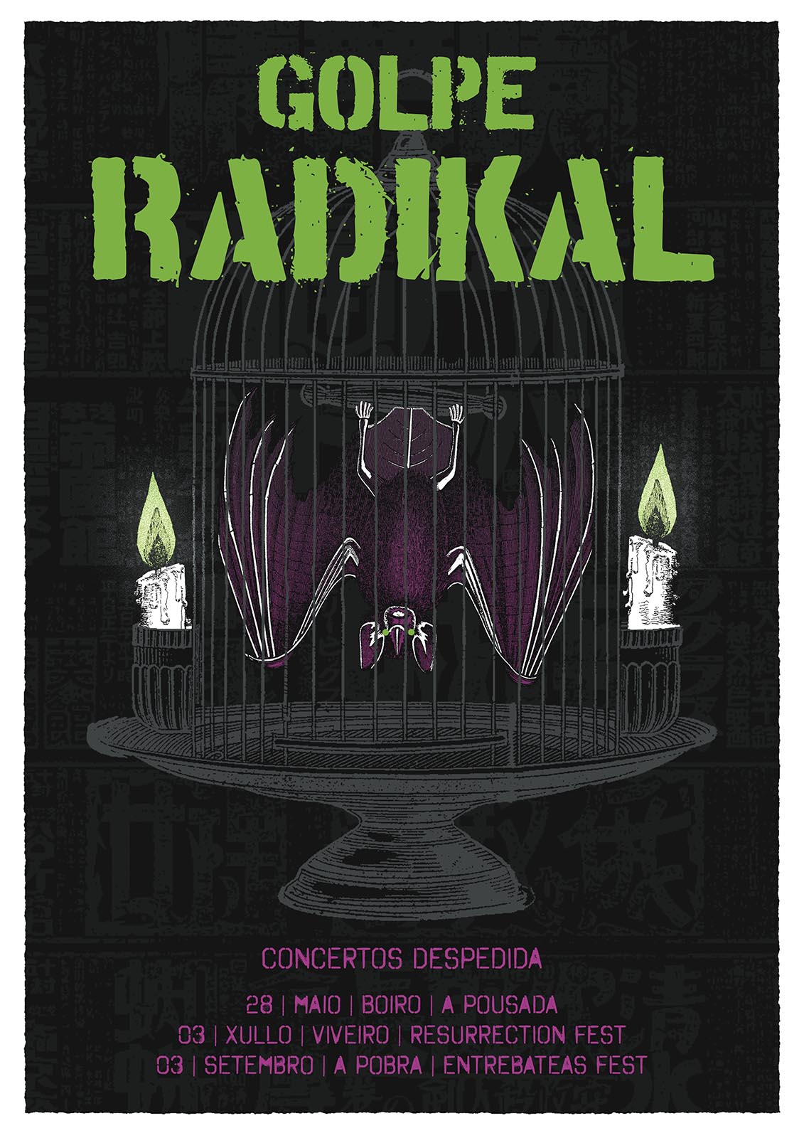 Poster_GolpeRadikal_8