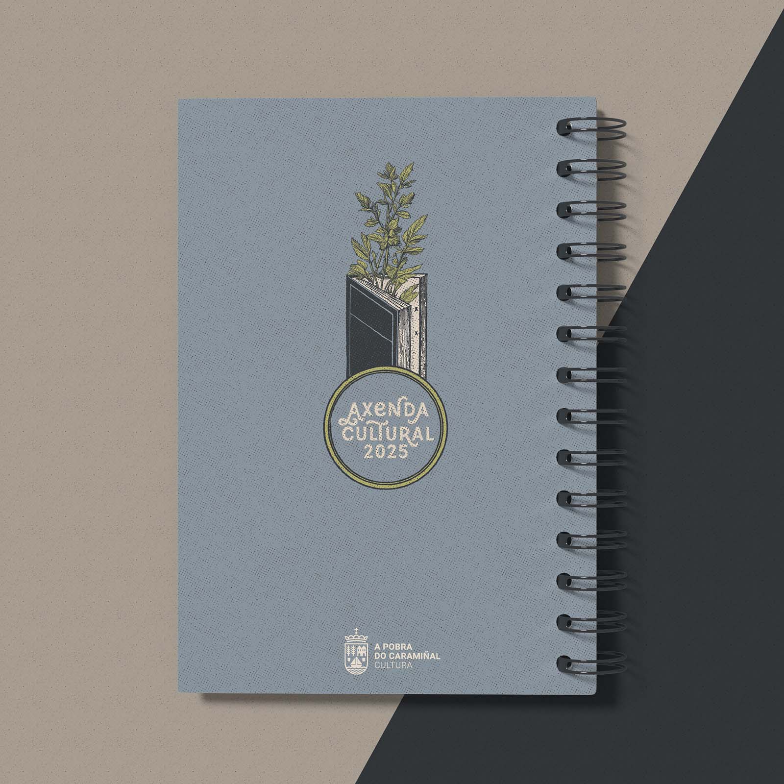 AxendaCulturaAPobra_25_2