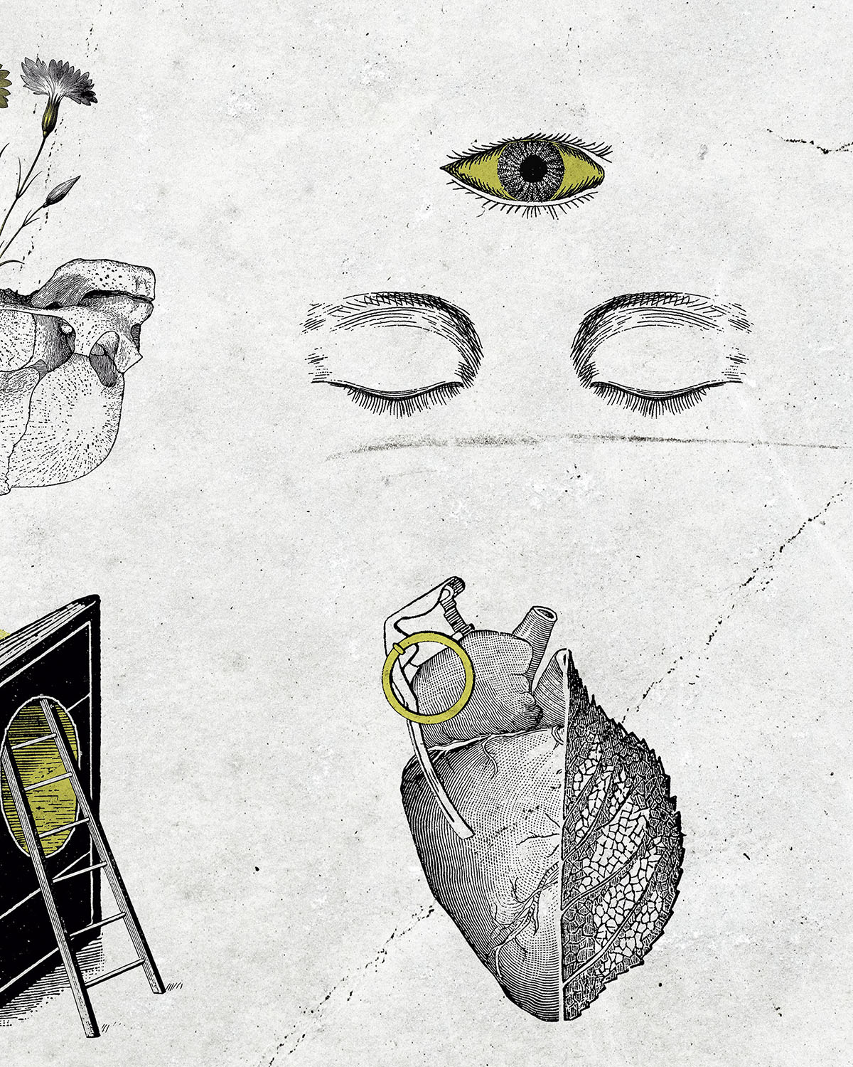 Post6RevoltaCreativa_Sumrra_Revoluti8n